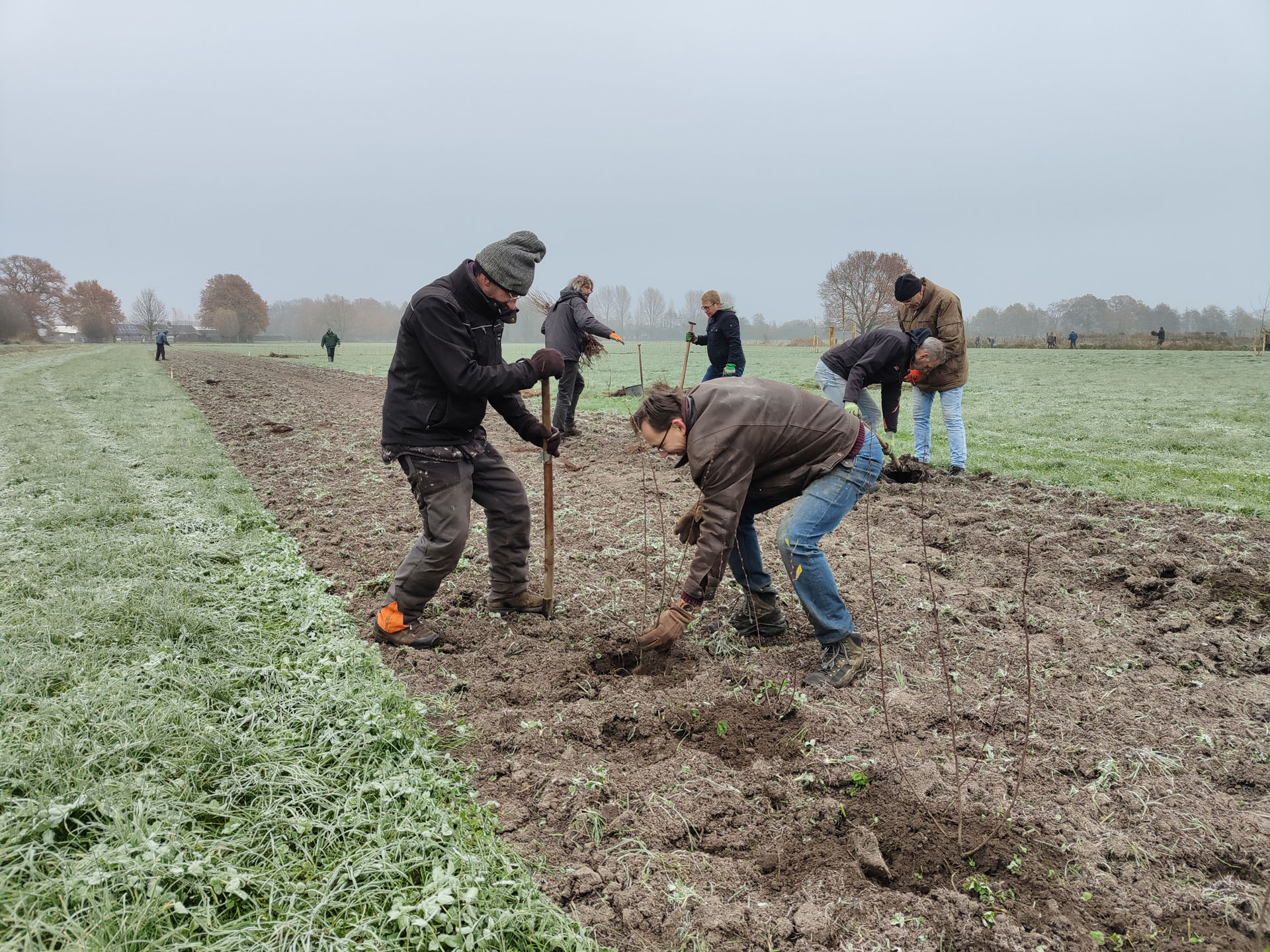 Vrijwilligers van Groengroep planten nieuwe plantjes in de grond