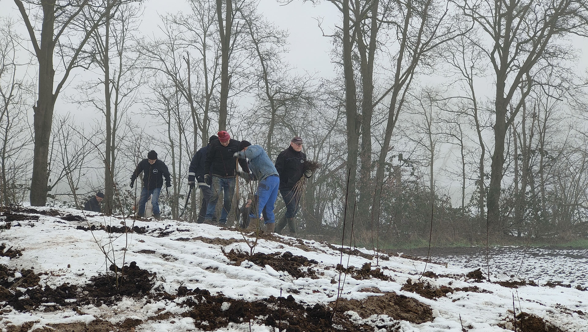 Groengroep mensen in de winter planten nieuwe plantjes