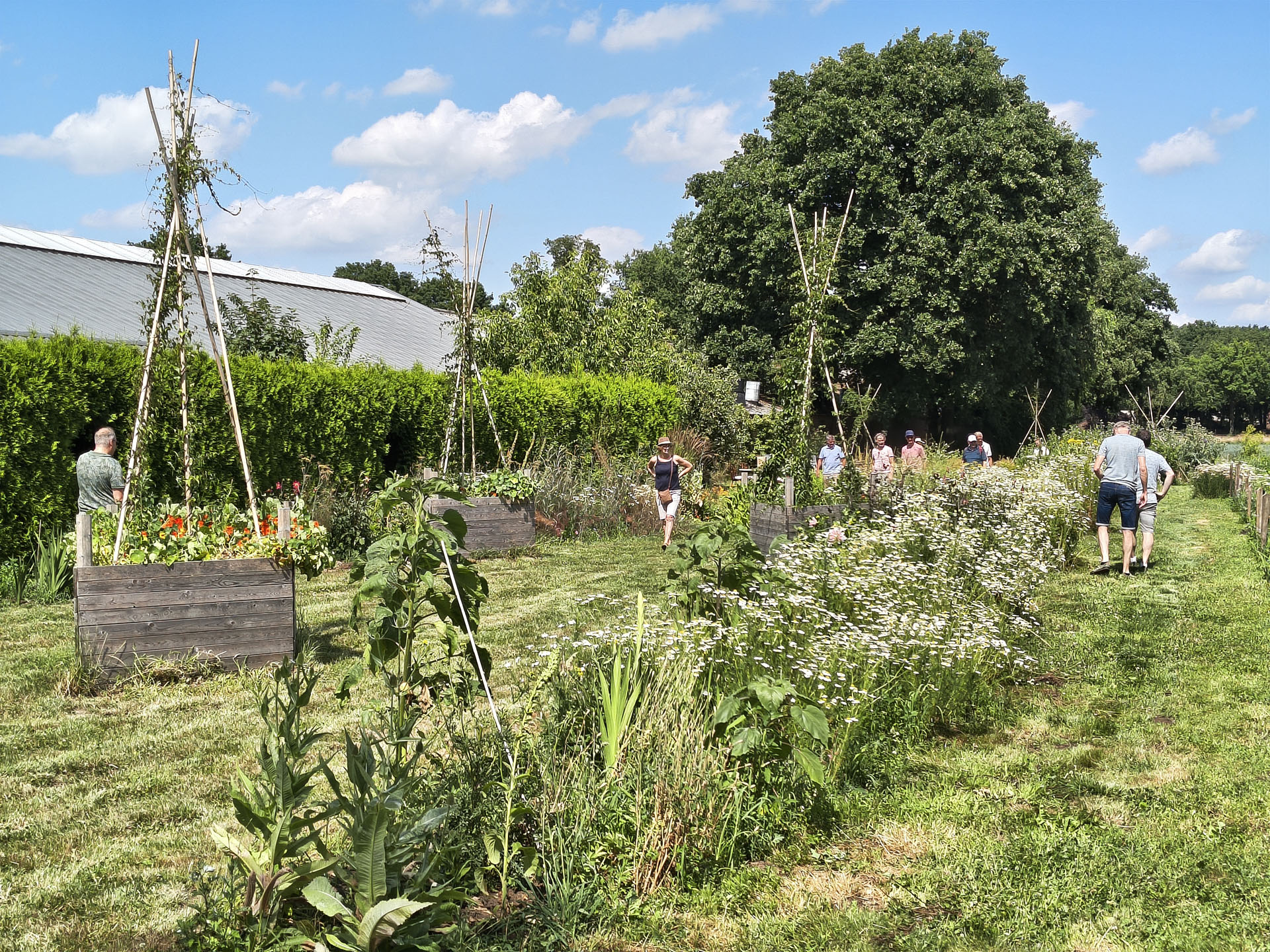 Groengroep vrijwilligers die bezig zijn met een groene tuin